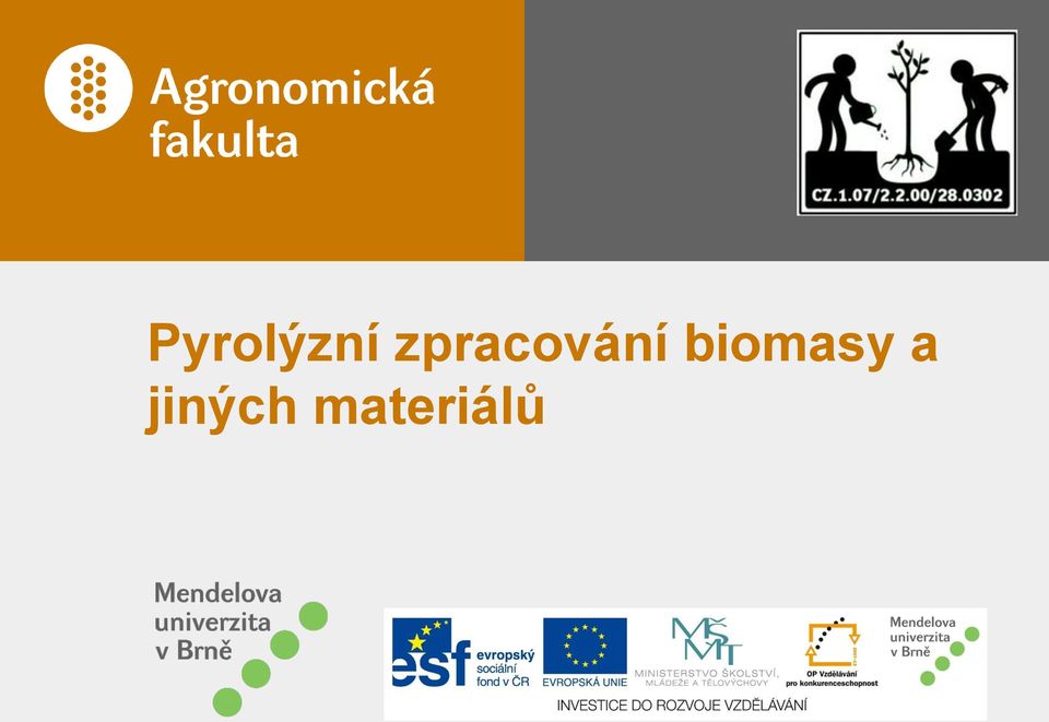 biomasy a