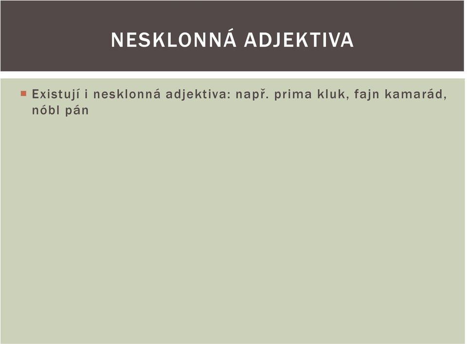 adjektiva: např.