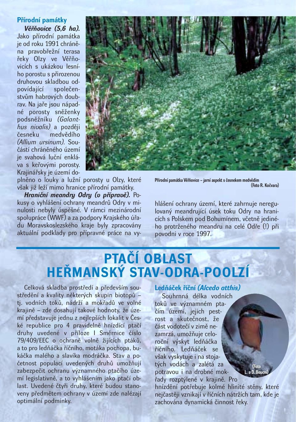 Na jaře jsou nápadné porosty sněženky podsněžníku (Galanthus nivalis) a později česneku medvědího (Allium ursinum). Součástí chráněného území je svahová luční enkláva s keřovými porosty.