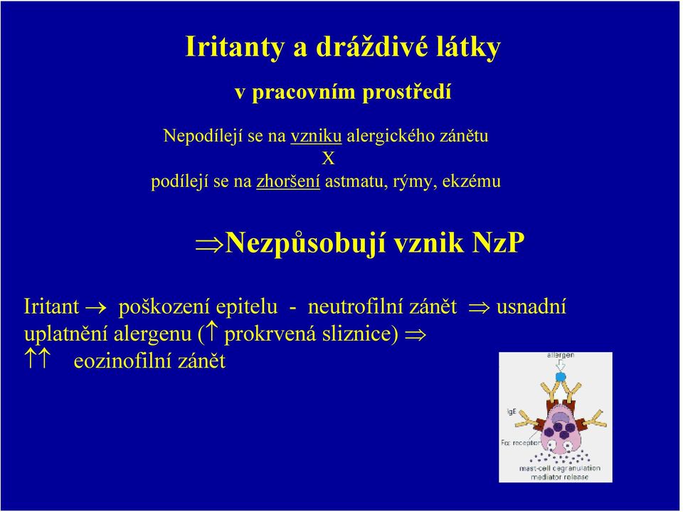 ekzému Nezpůsobují vznik NzP Iritant poškození epitelu - neutrofilní