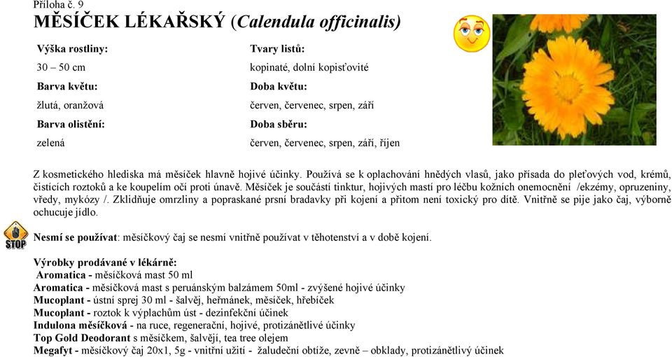 září Doba sběru: červen, červenec, srpen, září, říjen Z kosmetického hlediska má měsíček hlavně hojivé účinky.