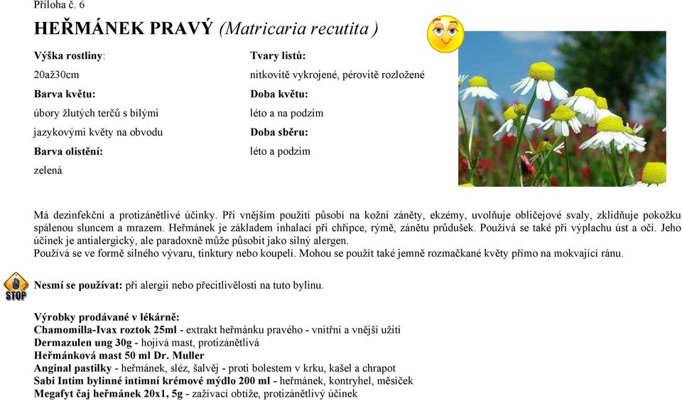 rozložené Doba květu: léto a na podzim Doba sběru: léto a podzim Má dezinfekční a protizánětlivé účinky.