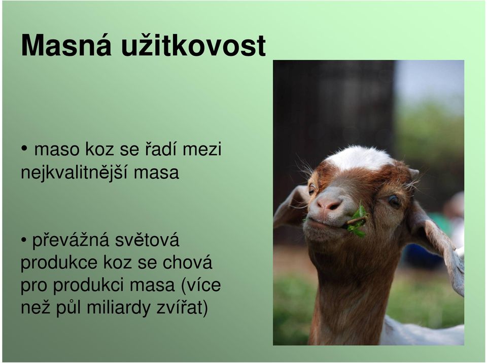 světová produkce koz se chová pro