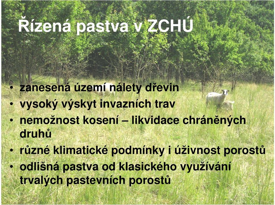 chráněných druhů různé klimatické podmínky i úživnost