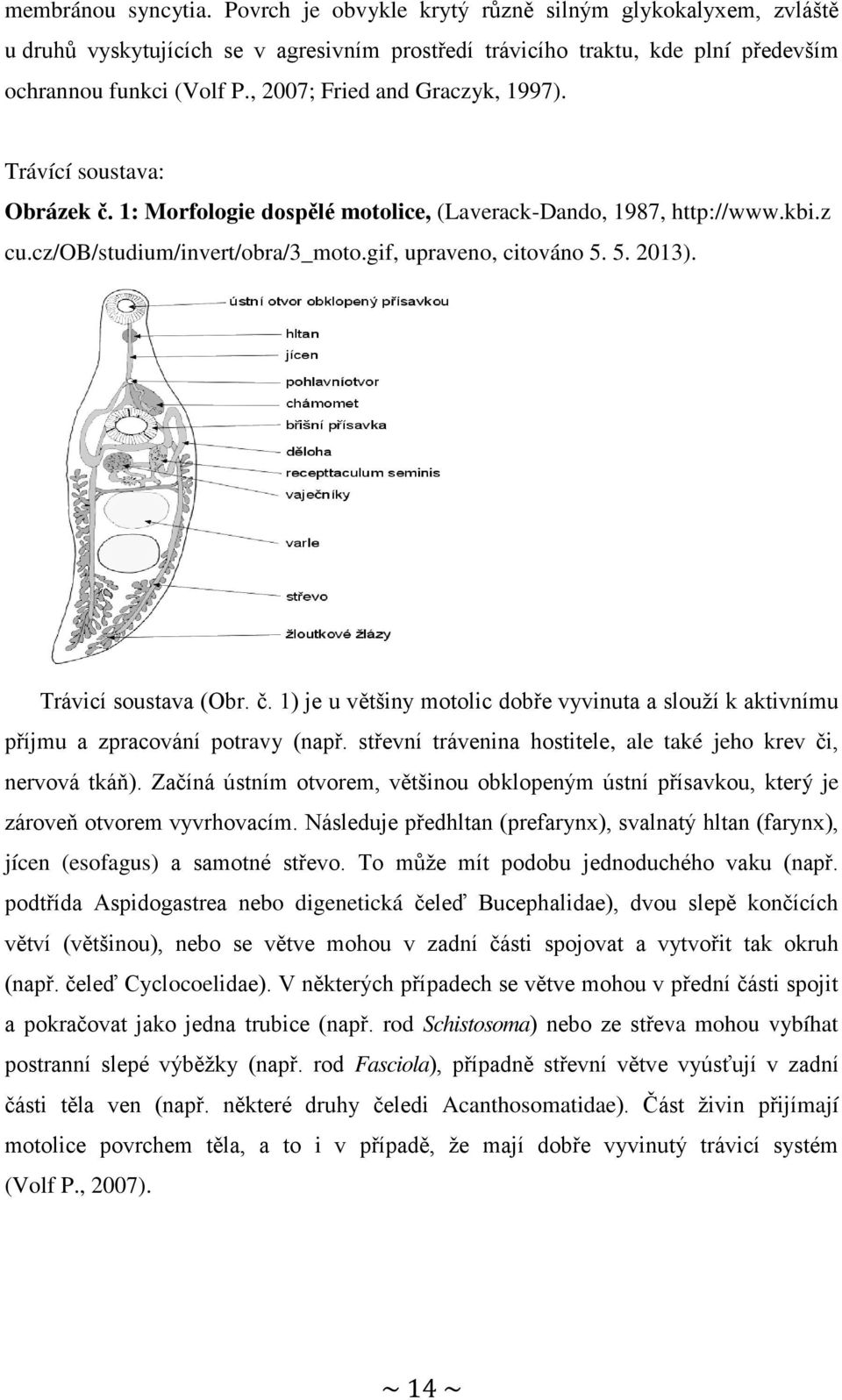 5. 2013). Trávicí soustava (Obr. č. 1) je u většiny motolic dobře vyvinuta a slouží k aktivnímu příjmu a zpracování potravy (např. střevní trávenina hostitele, ale také jeho krev či, nervová tkáň).