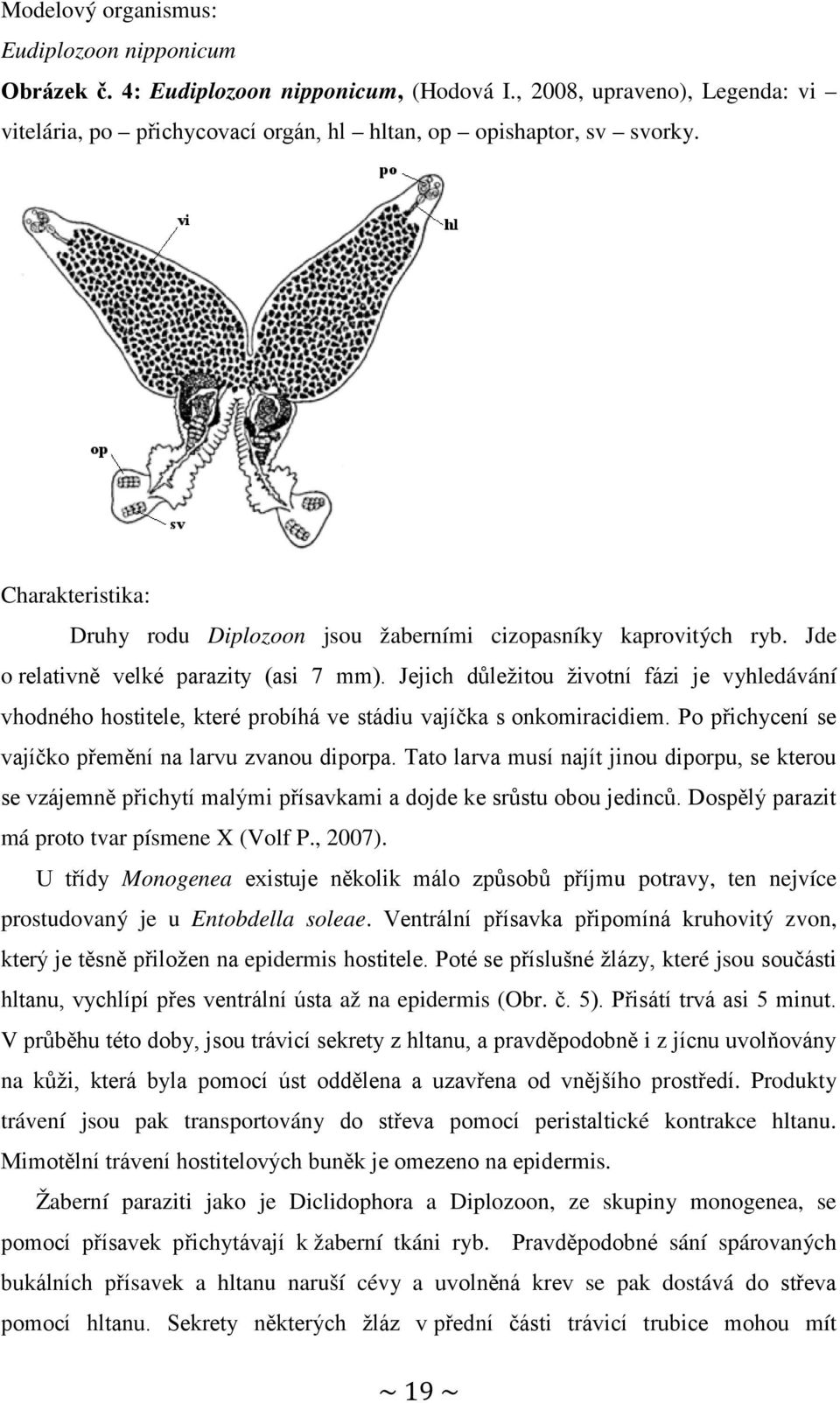 Jejich důležitou životní fázi je vyhledávání vhodného hostitele, které probíhá ve stádiu vajíčka s onkomiracidiem. Po přichycení se vajíčko přemění na larvu zvanou diporpa.