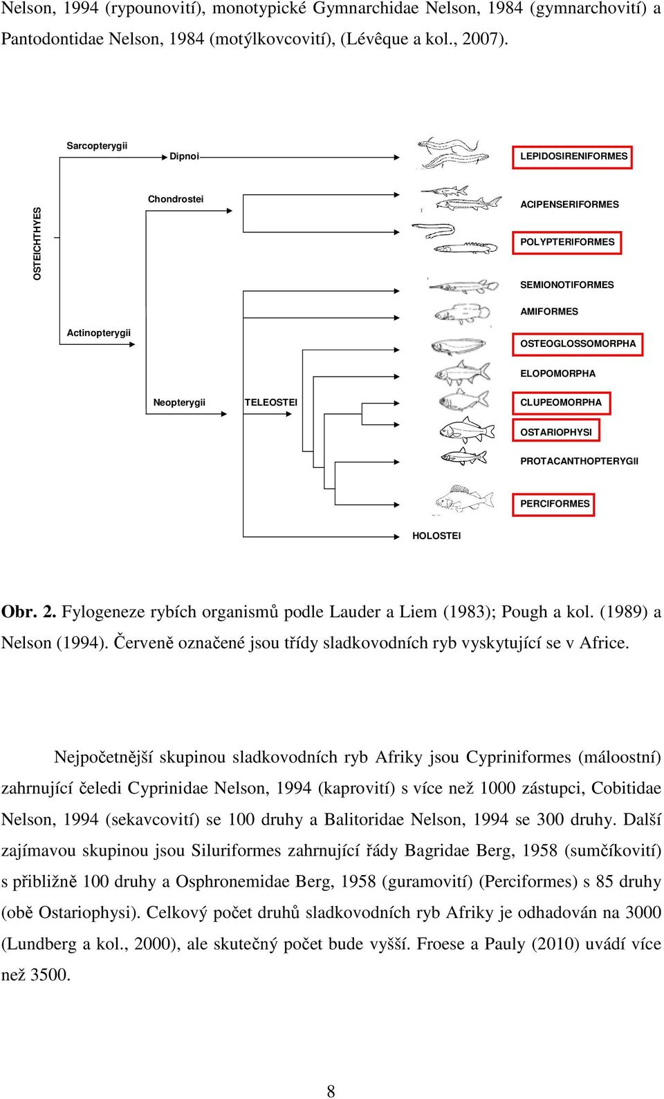 CLUPEOMORPHA OSTARIOPHYSI PROTACANTHOPTERYGII PERCIFORMES HOLOSTEI Obr. 2. Fylogeneze rybích organismů podle Lauder a Liem (1983); Pough a kol. (1989) a Nelson (1994).