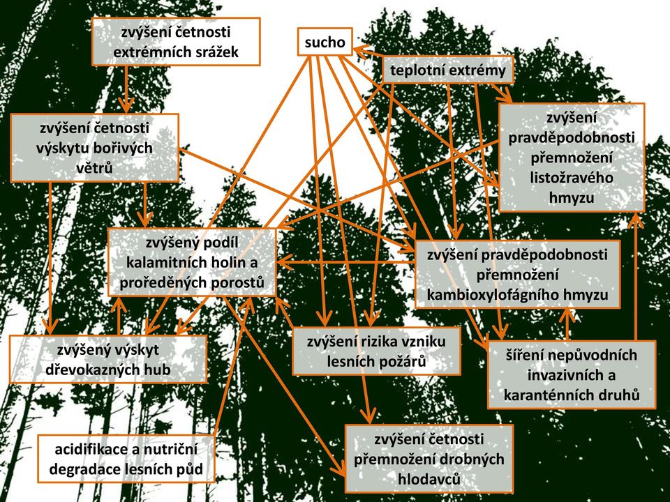 přemnožení kambioxylofágního hmyzu zvýšený výskyt dřevokazných hub zvýšení rizika vzniku lesních požárů