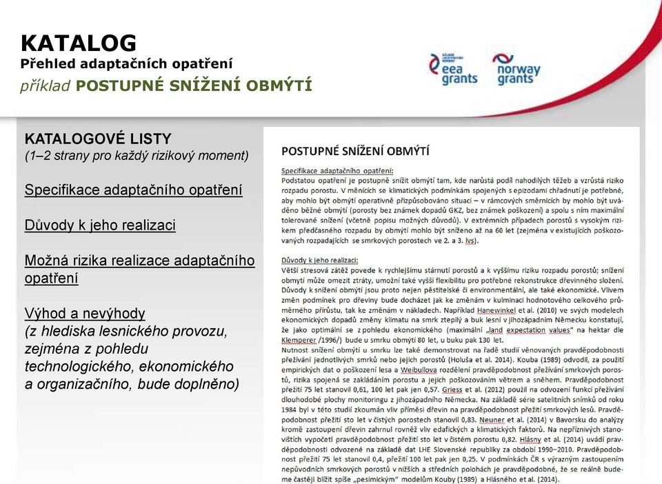 realizaci Možná rizika realizace adaptačního opatření Výhod a nevýhody (z hlediska