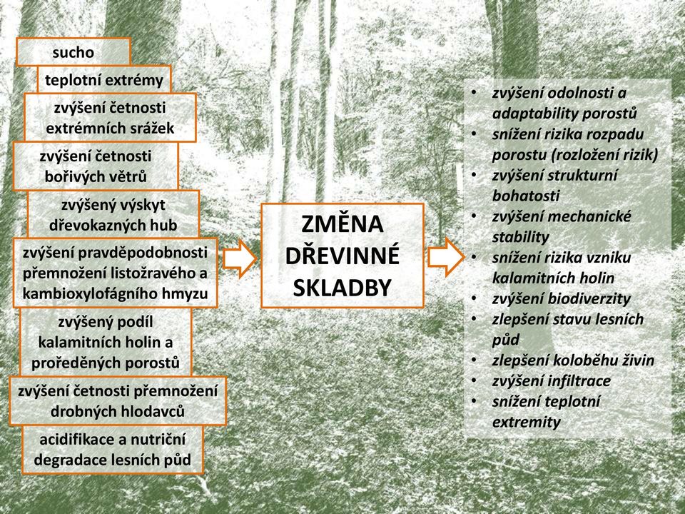 ZMĚNA DŘEVINNÉ SKLADBY zvýšení odolnosti a adaptability porostů snížení rizika rozpadu porostu (rozložení rizik) zvýšení strukturní bohatosti zvýšení