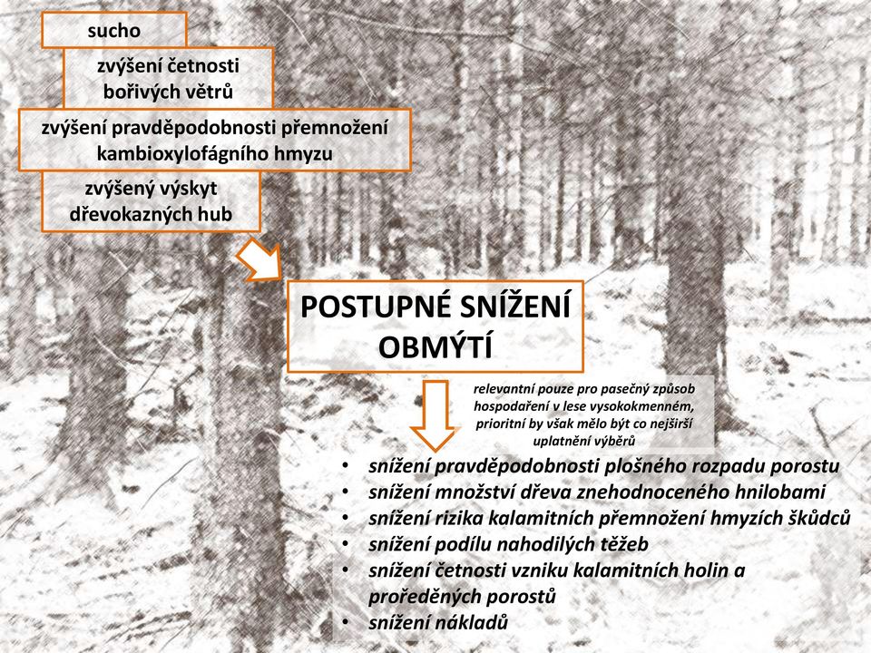 výběrů snížení pravděpodobnosti plošného rozpadu porostu snížení množství dřeva znehodnoceného hnilobami snížení rizika kalamitních