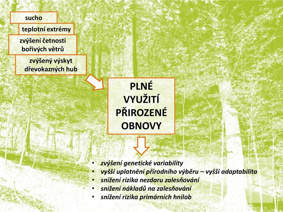 uplatnění přírodního výběru vyšší adaptabilita snížení rizika nezdaru