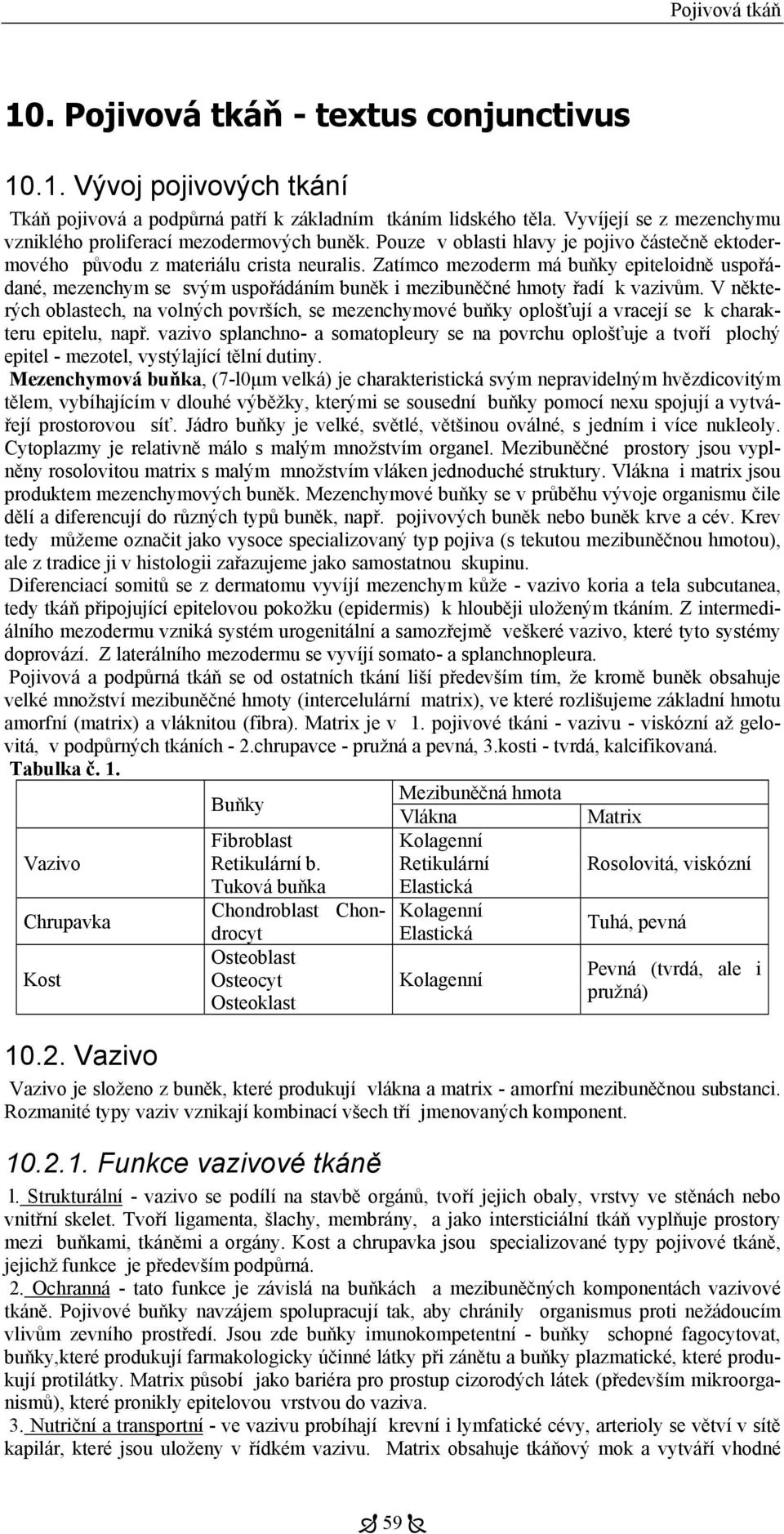 Zatímco mezoderm má buňky epiteloidně uspořádané, mezenchym se svým uspořádáním buněk i mezibuněčné hmoty řadí k vazivům.