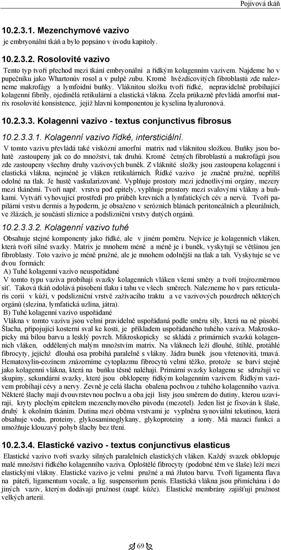 Vláknitou složku tvoří řídké, nepravidelně probíhající kolagenní fibrily, ojedinělá retikulární a elastická vlákna.