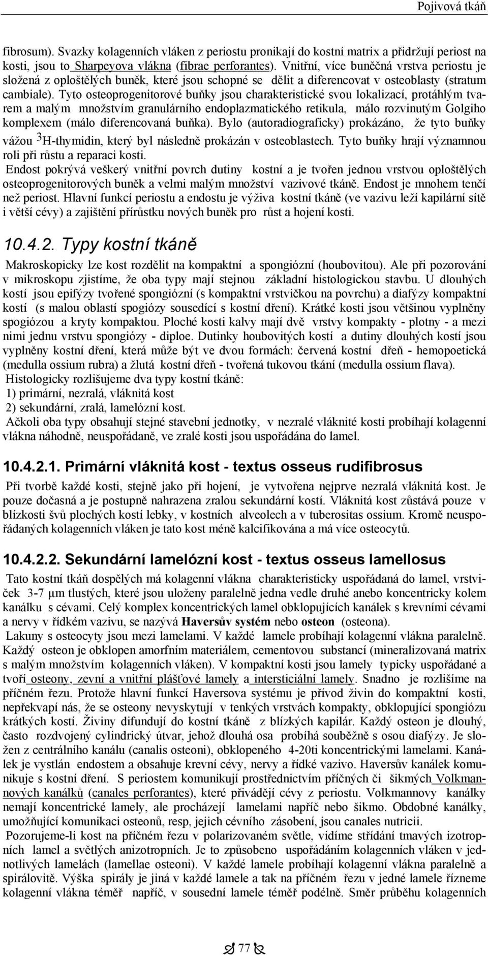 Tyto osteoprogenitorové buňky jsou charakteristické svou lokalizací, protáhlým tvarem a malým množstvím granulárního endoplazmatického retikula, málo rozvinutým Golgiho komplexem (málo diferencovaná