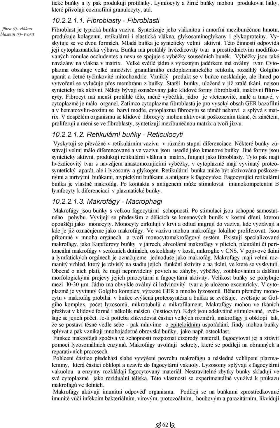 Syntetizuje jeho vláknitou i amorfní mezibuněčnou hmotu, produkuje kolagenní, retikulární i elastická vlákna, glykosaminoglykany i glykoproteiny. Vyskytuje se ve dvou formách.