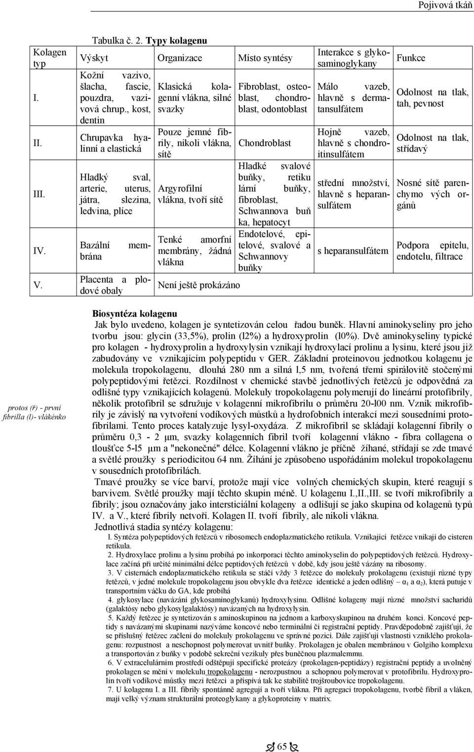 , kost, dentin Málo vazeb, hlavně s dermatansulfátem Chrupavka hyalinní a elastická Hladký sval, arterie, uterus, játra, slezina, ledvina, plíce Placenta a plodové obaly Klasická kolagenní vlákna,