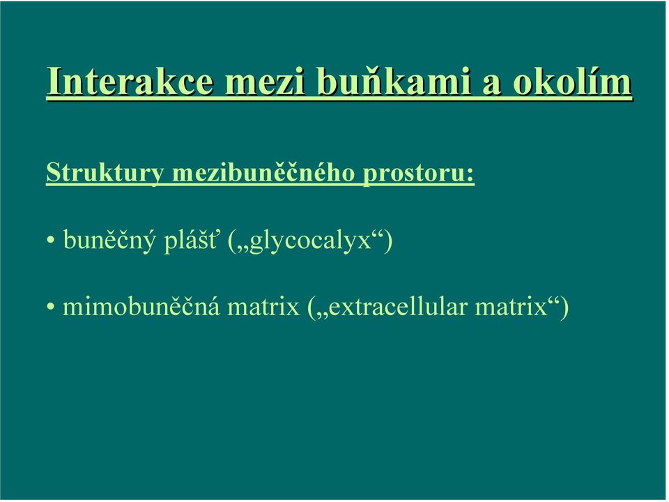 buněčný plášť ( glycocalyx )