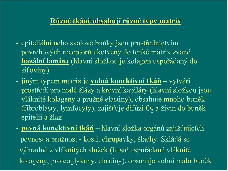 kolageny a pružné elastiny), obsahuje mnoho buněk (fibroblasty, lymfocyty), zajišťuje difúzi O 2 a živin do buněk epitelií a žlaz - pevná konektivní tkáň hlavní složka orgánů