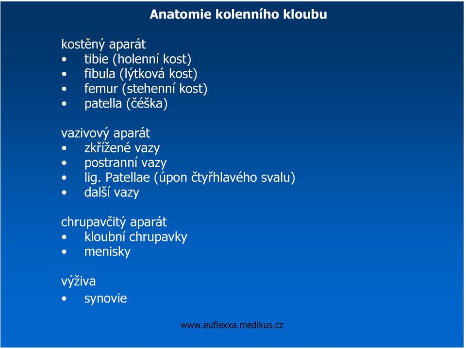 zkřížené vazy postranní vazy lig.