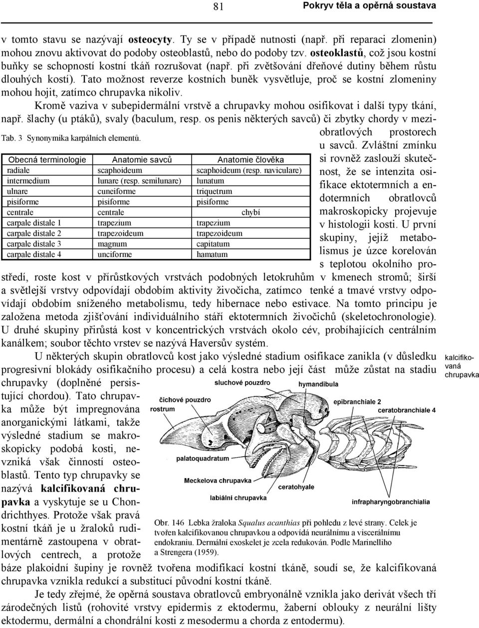 Tato možnost reverze kostních buněk vysvětluje, proč se kostní zlomeniny mohou hojit, zatímco chrupavka nikoliv.