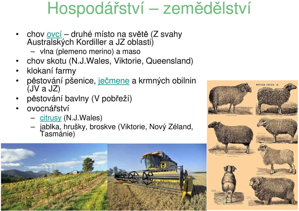 klokaní farmy pěstování pšenice, ječmene a krmných obilnin (JV a JZ) pěstování bavlny (V