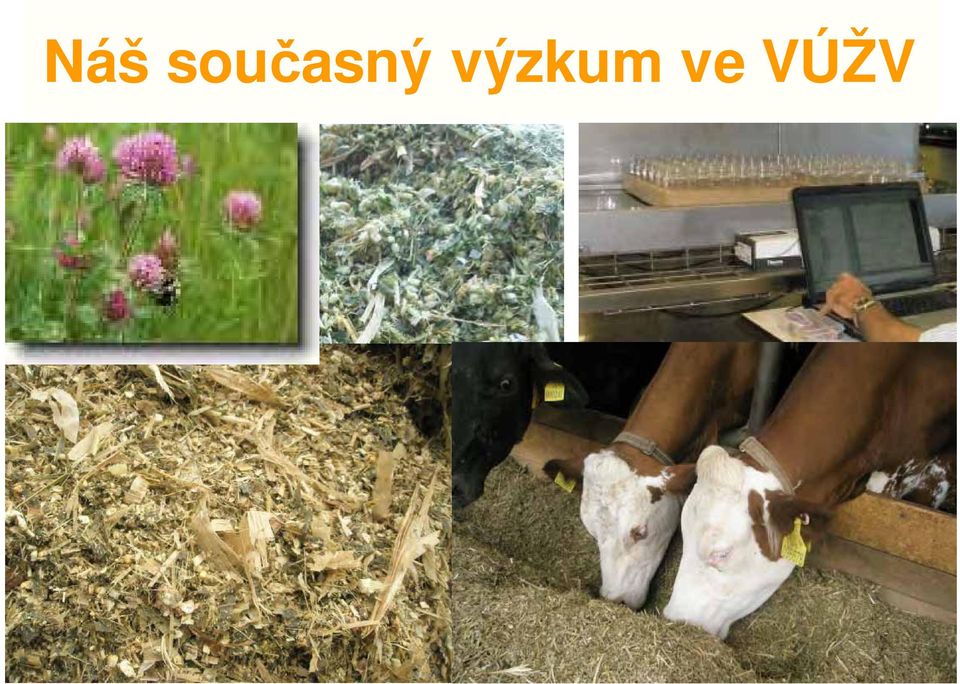 výzkum ve