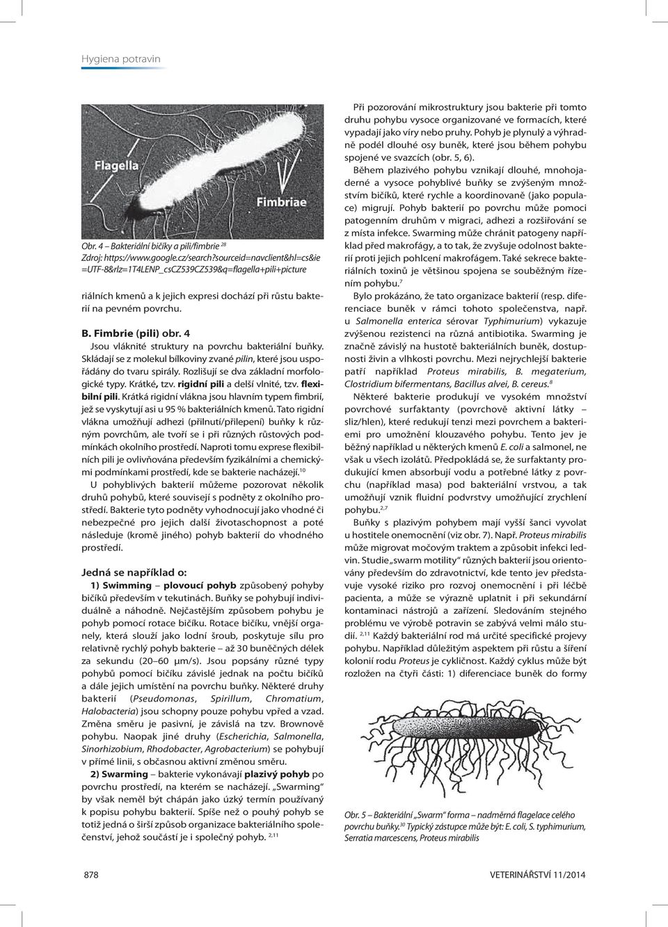 4 Jsou vláknité struktury na povrchu bakteriální buňky. Skládají se z molekul bílkoviny zvané pilin, které jsou uspořádány do tvaru spirály. Rozlišují se dva základní morfologické typy. Krátké, tzv.