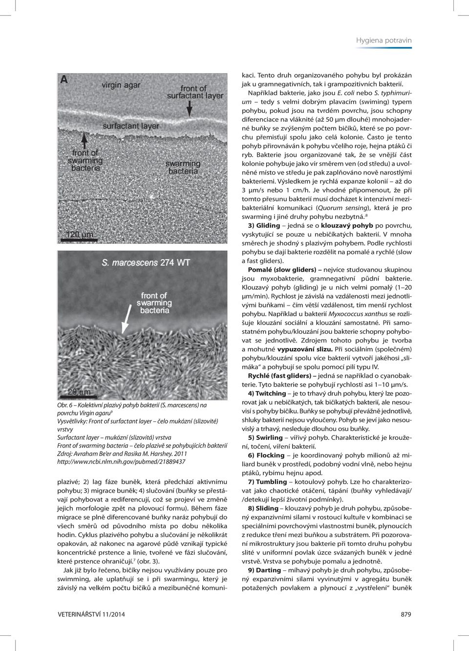 pohybujících bakterií Zdroj: Avraham Be er and Rasika M. Harshey. 2011 http://www.ncbi.nlm.nih.