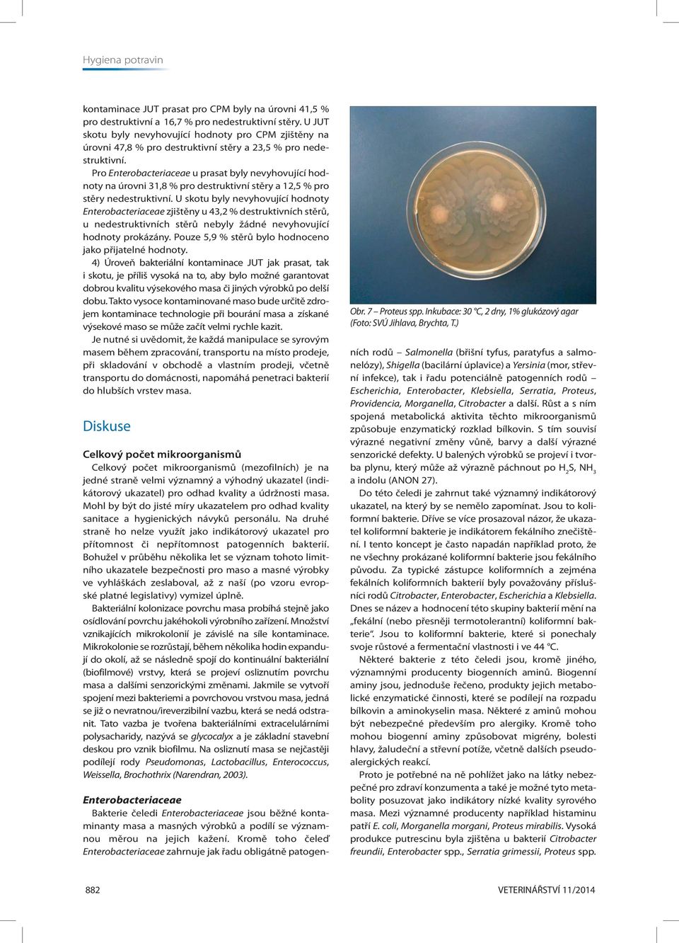 Pro Enterobacteriaceae u prasat byly nevyhovující hodnoty na úrovni 31,8 % pro destruktivní stěry a 12,5 % pro stěry nedestruktivní.