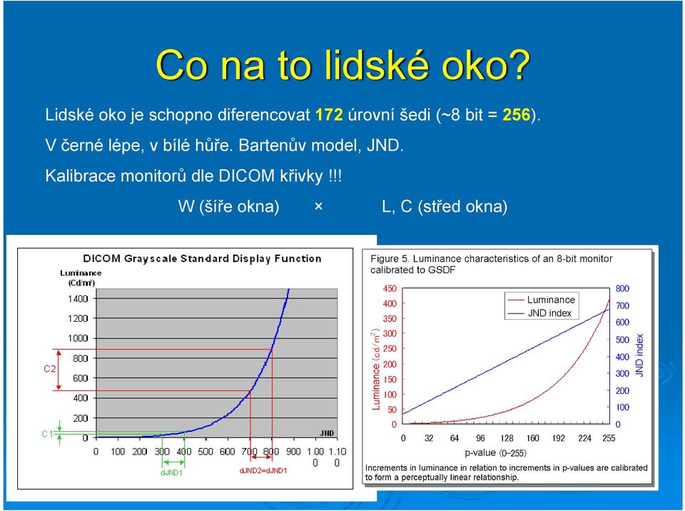 (~8 bit = 256). V černé lépe, v bílé hůře.