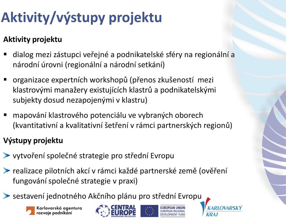 klastrového potenciálu ve vybraných oborech (kvantitativní a kvalitativní šetření v rámci partnerských regionů) Výstupy projektu vytvoření společné strategie pro