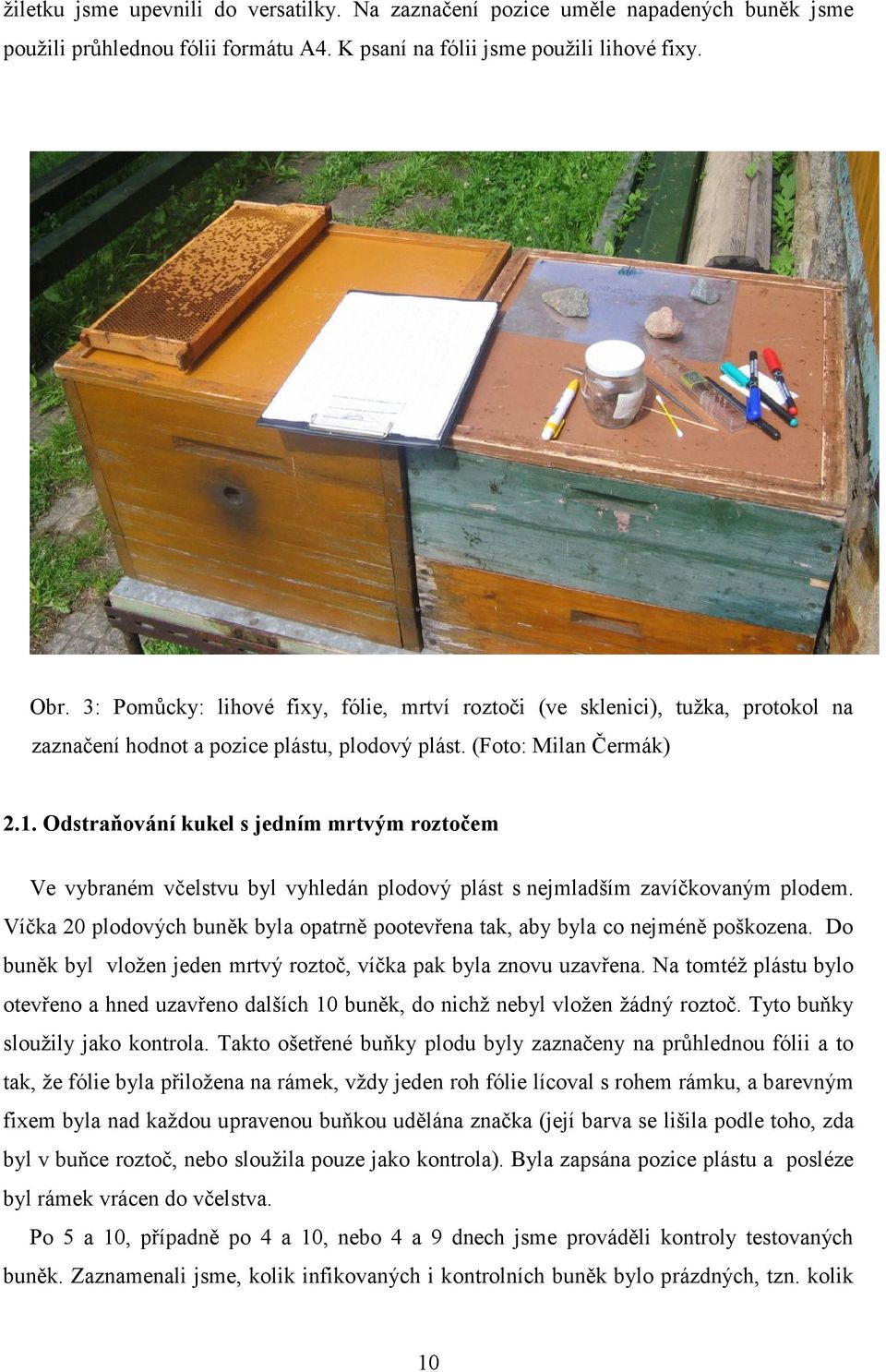 Odstraňování kukel s jedním mrtvým roztočem Ve vybraném včelstvu byl vyhledán plodový plást s nejmladším zavíčkovaným plodem.