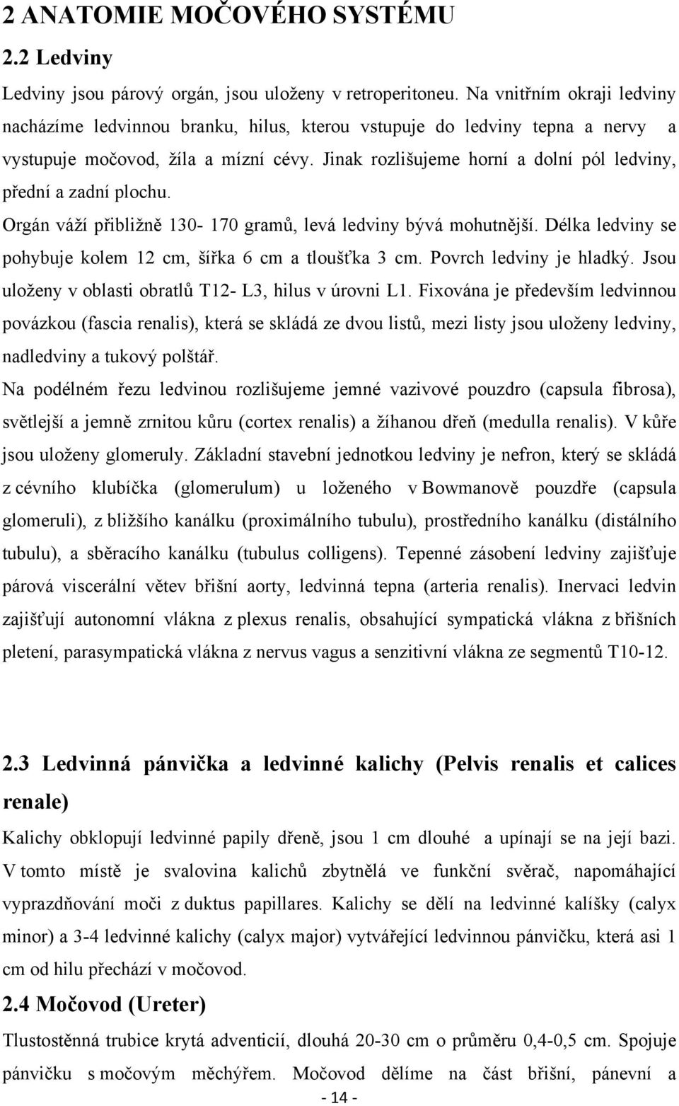 Jinak rozlišujeme horní a dolní pól ledviny, přední a zadní plochu. Orgán váží přibližně 130-170 gramů, levá ledviny bývá mohutnější. Délka ledviny se pohybuje kolem 12 cm, šířka 6 cm a tloušťka 3 cm.