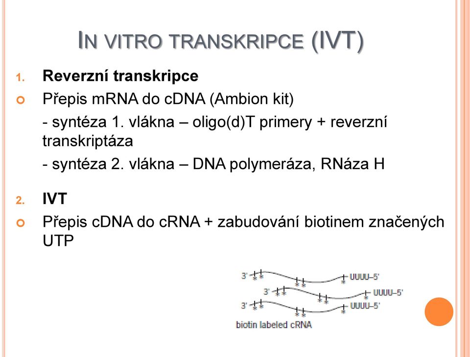 1. vlákna oligo(d)t primery + reverzní transkriptáza 2.