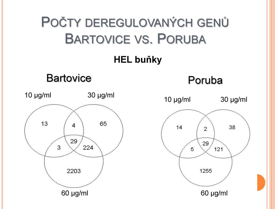 PORUBA HEL buňky Bartovice