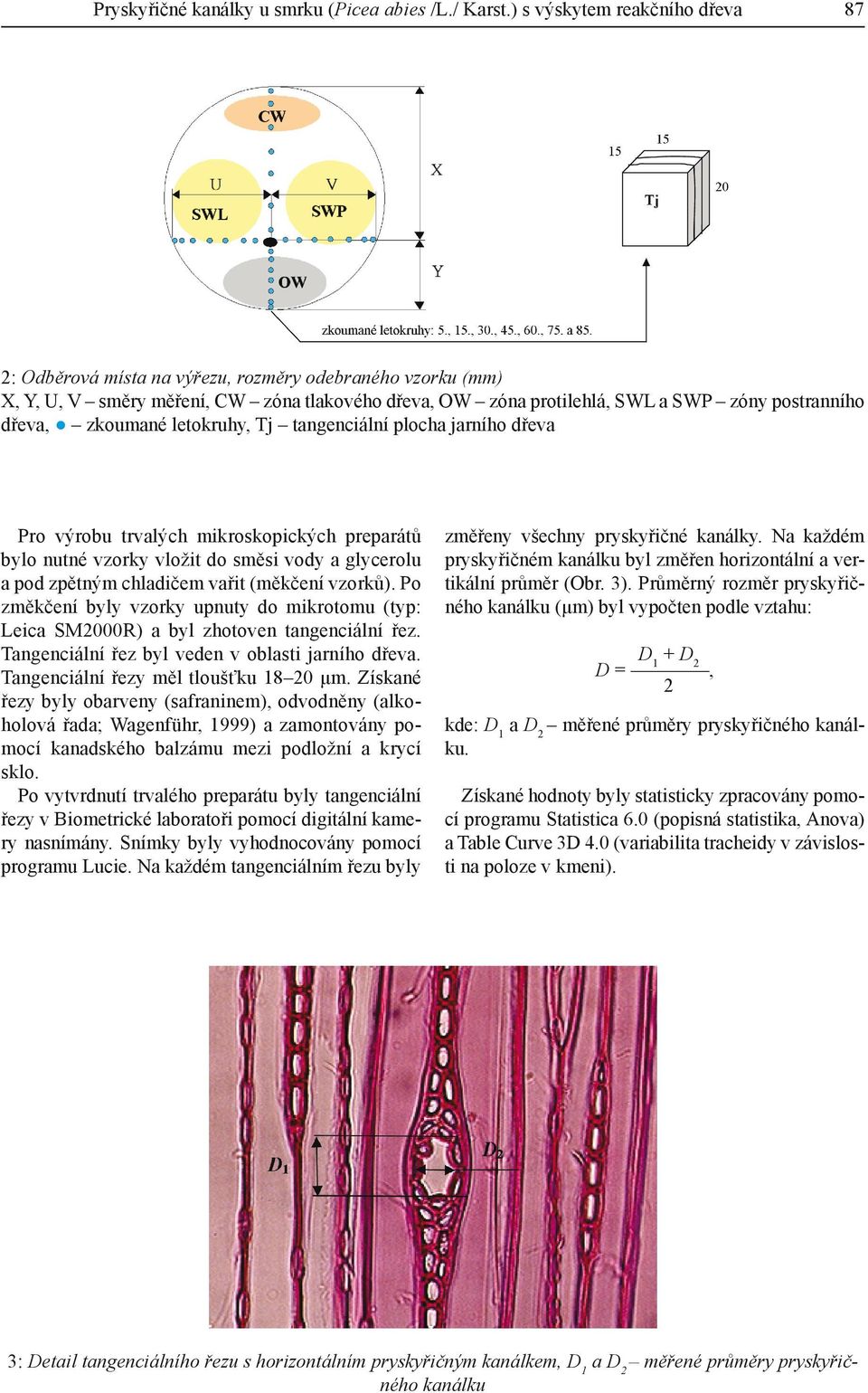zkoumané letokruhy, Tj tangenciální plocha jarního dřeva Pro výrobu trvalých mikroskopických preparátů bylo nutné vzorky vložit do směsi vody a glycerolu a pod zpětným chladičem vařit (měkčení