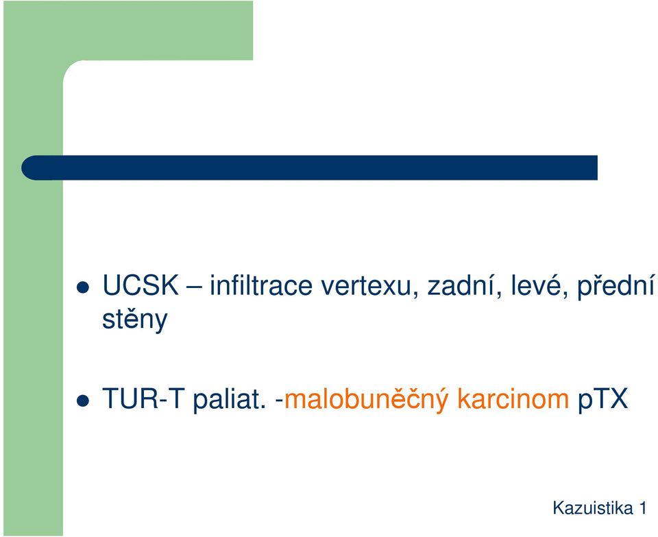 TUR-T paliat.