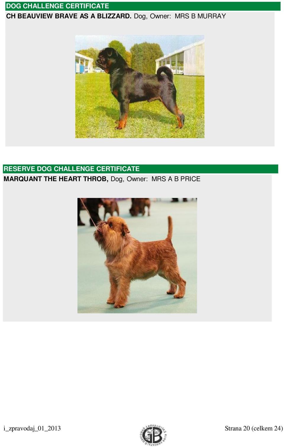 Dog, Owner: MRS B MURRAY RESERVE DOG CHALLENGE
