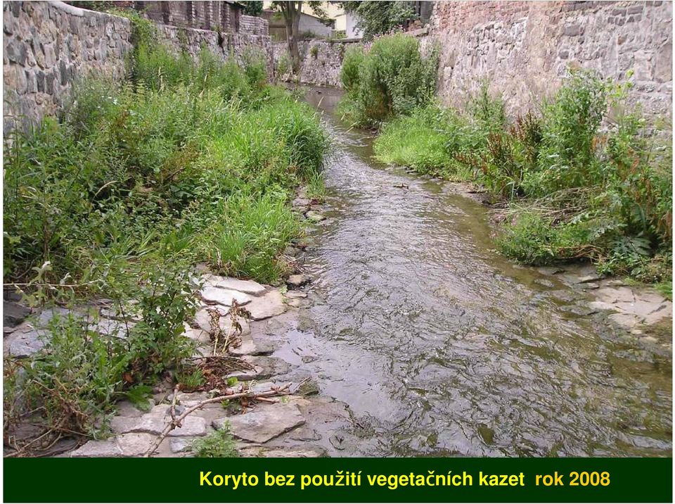 vegetačních