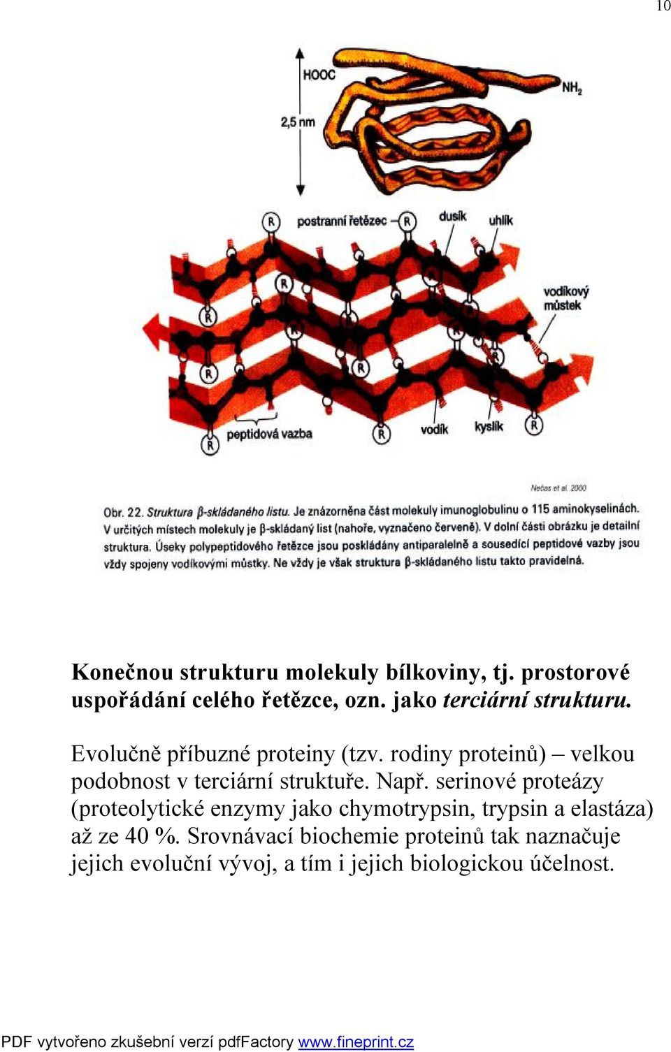rodiny proteinů) velkou podobnost v terciární struktuře. Např.