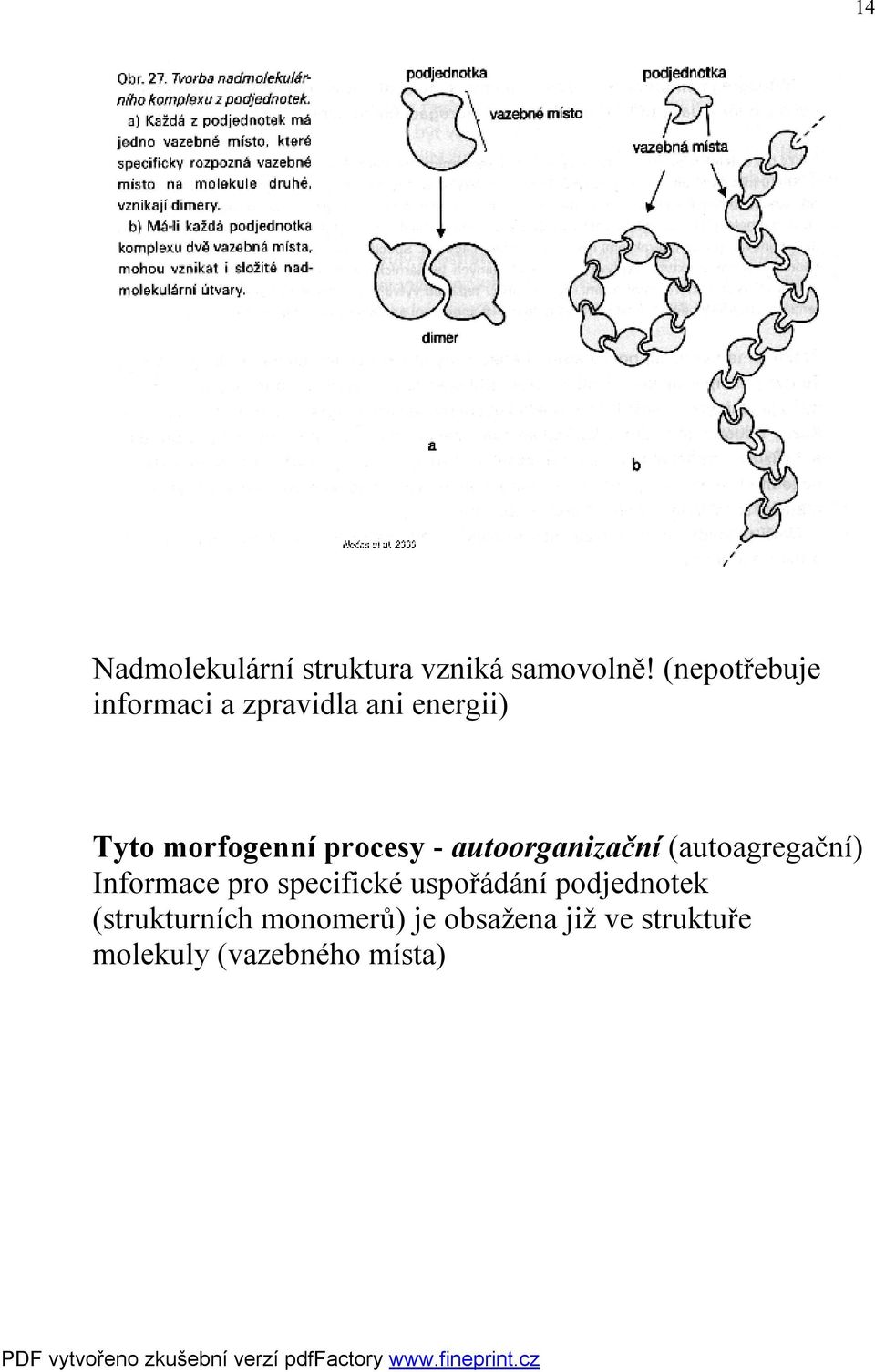 procesy - autoorganizační (autoagregační) Informace pro specifické