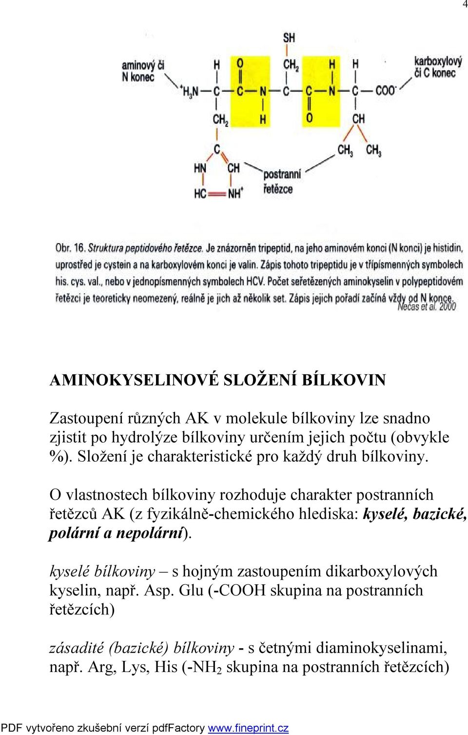 O vlastnostech bílkoviny rozhoduje charakter postranních řetězců AK (z fyzikálně-chemického hlediska: kyselé, bazické, polární a nepolární).