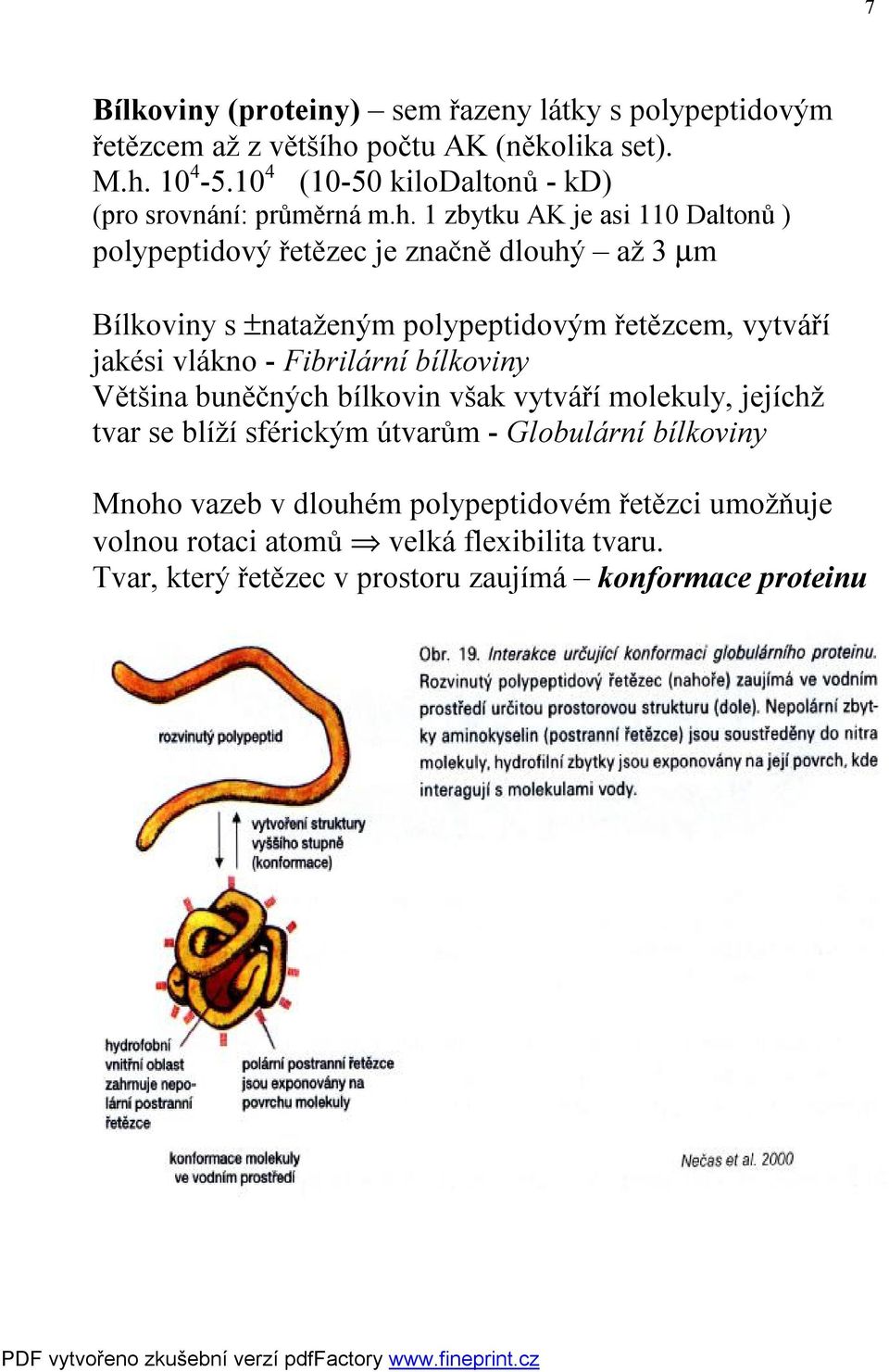 1 zbytku AK je asi 110 Daltonů ) polypeptidový řetězec je značně dlouhý až 3 µm Bílkoviny s ±nataženým polypeptidovým řetězcem, vytváří jakési vlákno -