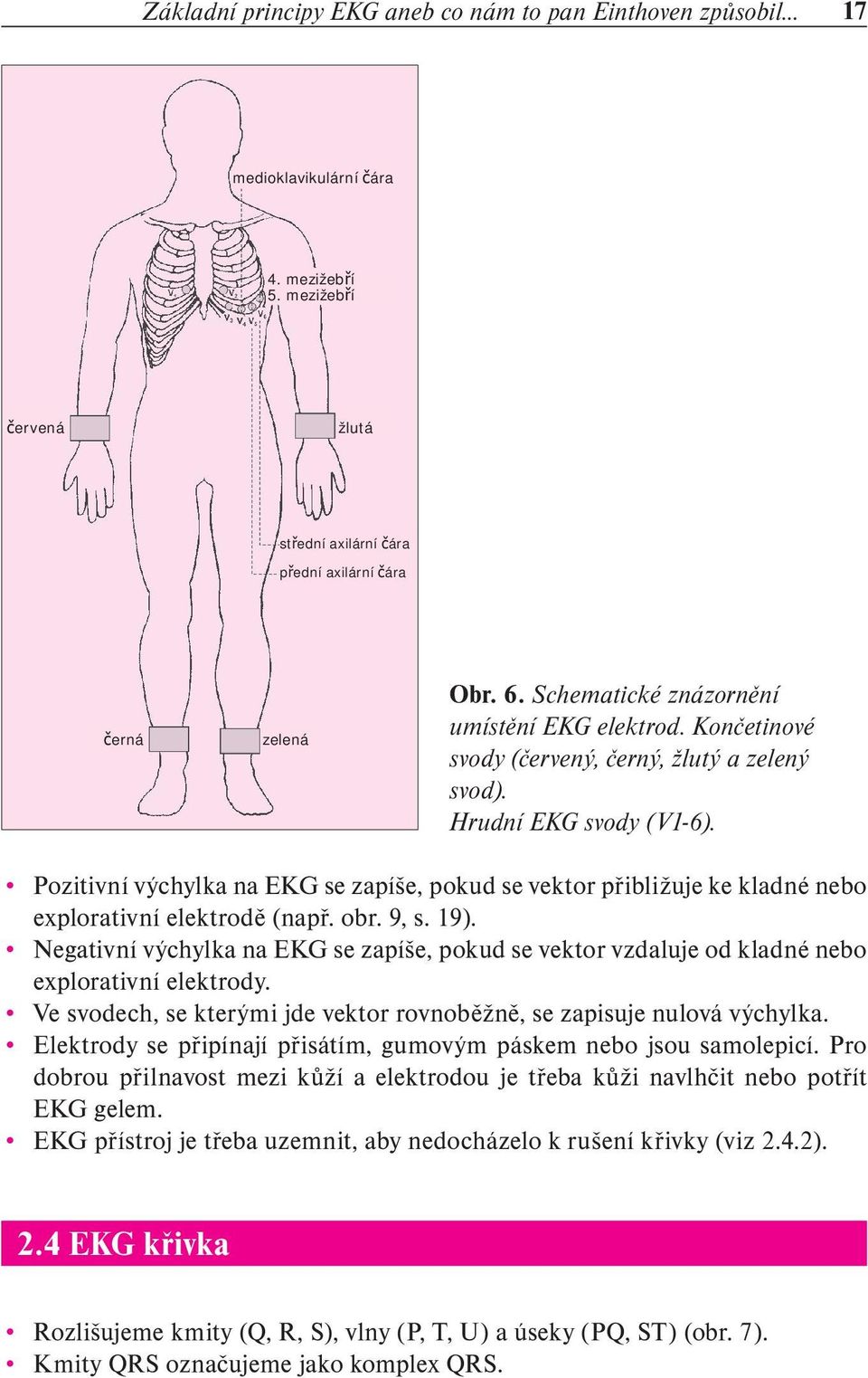 Pozitivní výchylka na EKG se zapíše, pokud se vektor přibližuje ke kladné nebo explorativní elektrodě (např. obr. 9, s. 19).