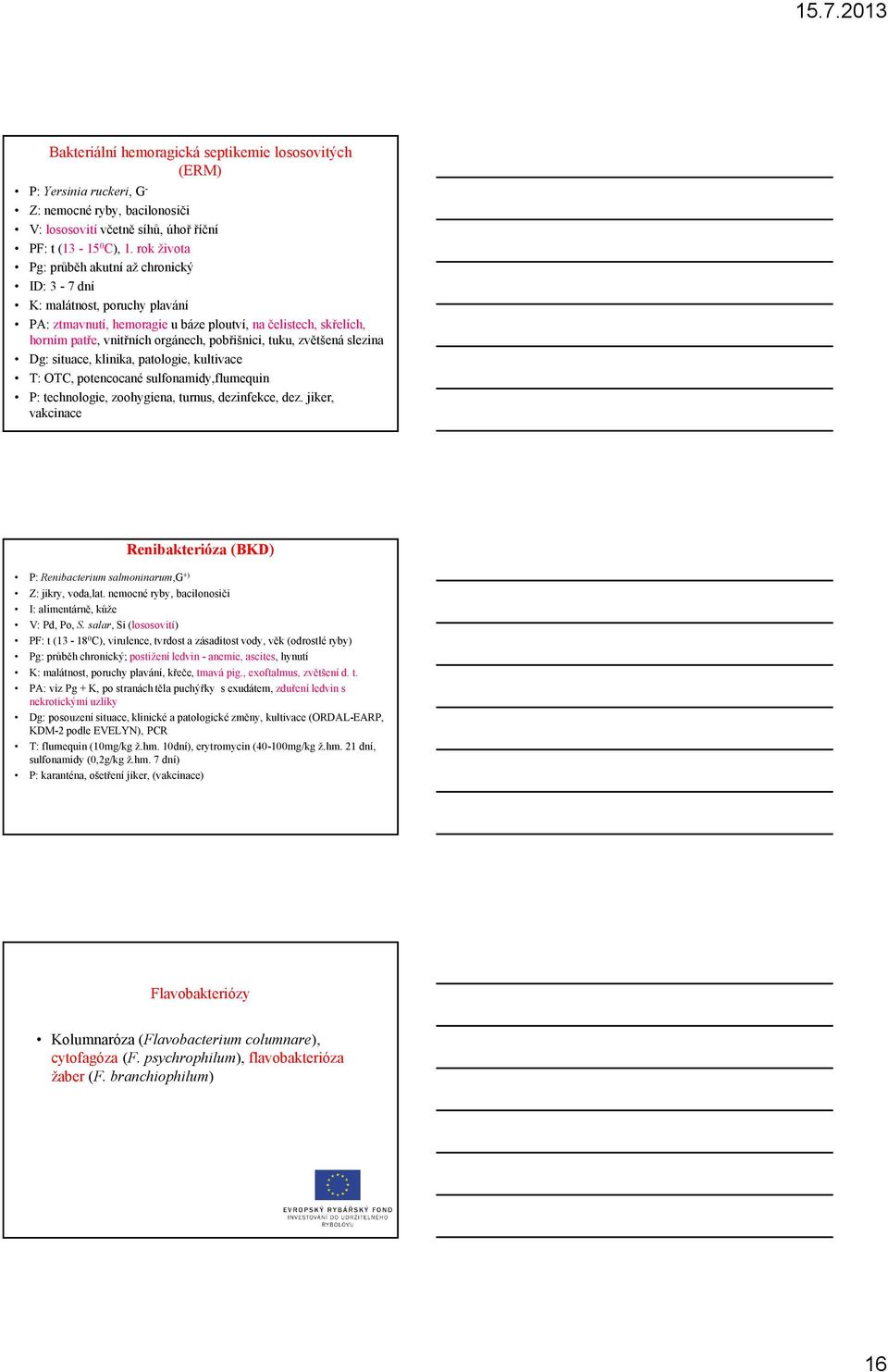 tuku, zvětšená slezina Dg: situace, klinika, patologie, kultivace T: OTC, potencocané sulfonamidy,flumequin P: technologie, zoohygiena, turnus, dezinfekce, dez.