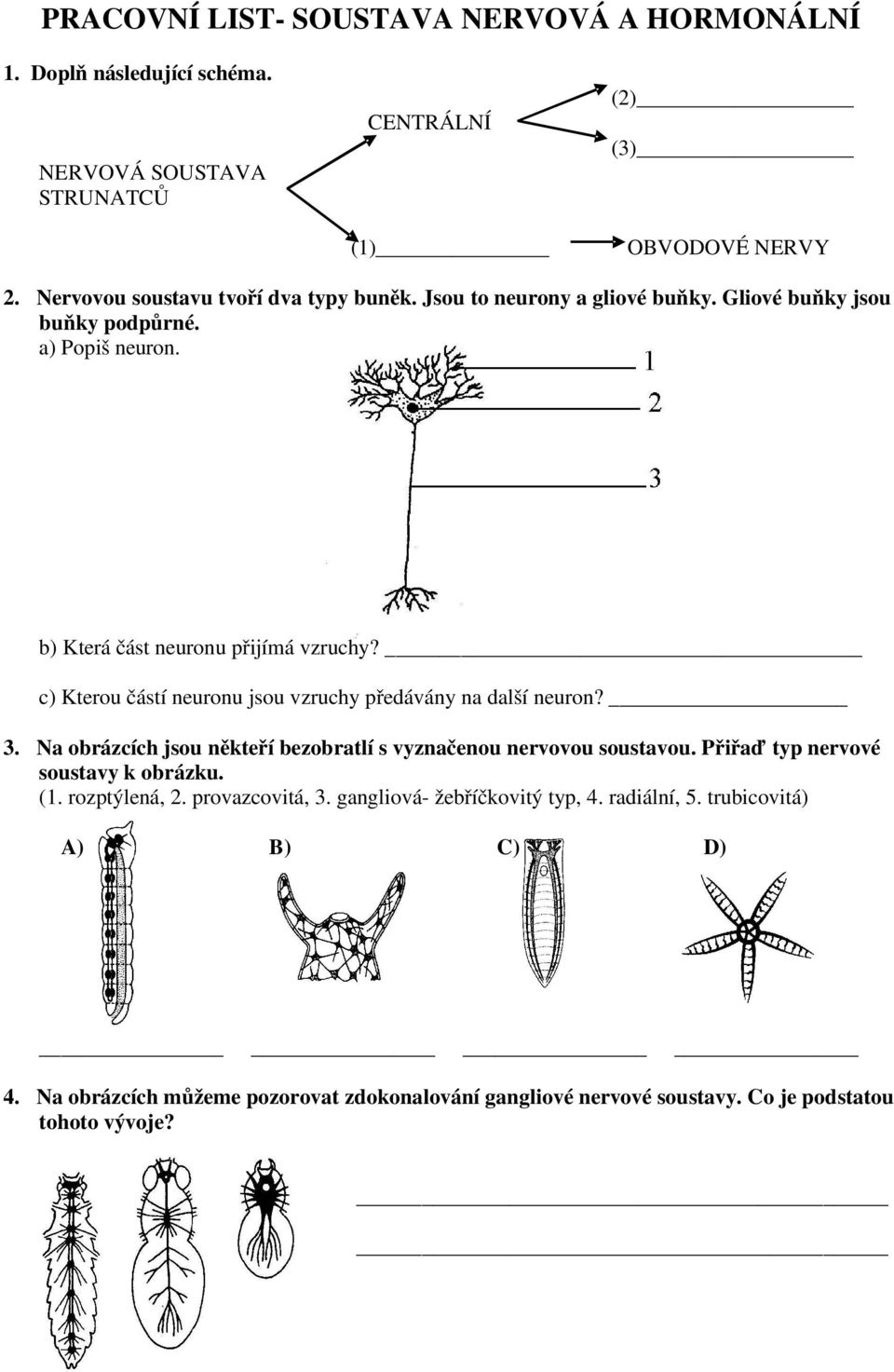 c) Kterou částí neuronu jsou vzruchy předávány na další neuron? 3. Na obrázcích jsou někteří bezobratlí s vyznačenou nervovou soustavou.