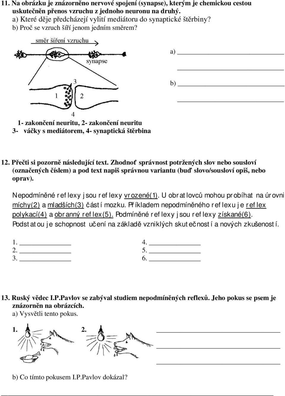 a) b) 1- zakončení neuritu, 2- zakončení neuritu 3- váčky s mediátorem, 4- synaptická štěrbina 12. Přečti si pozorně následující text.