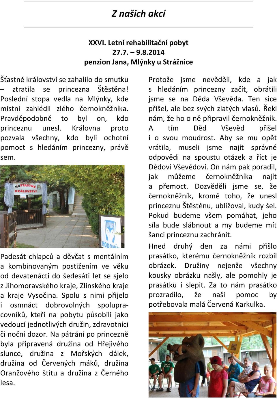 Královna proto pozvala všechny, kdo byli ochotní pomoct s hledáním princezny, právě sem.