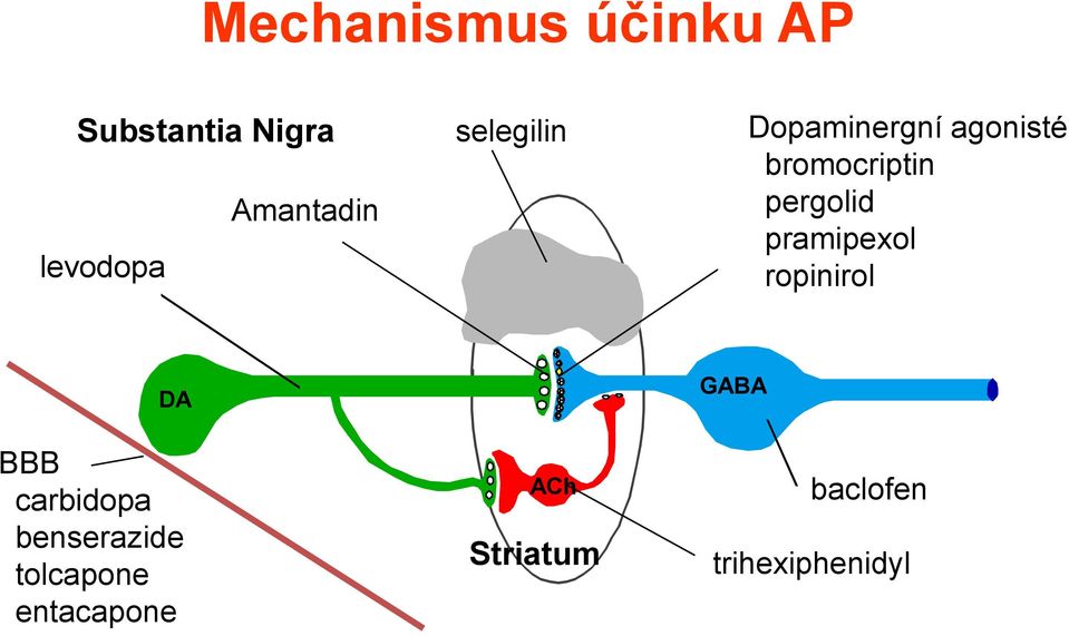 pergolid pramipexol ropinirol DA BBB carbidopa